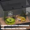 Multi Tiered Automatic Reptiles Water Dispenser Multifunctional Design Transparent Tanks Quiet Pump for Small Turtles