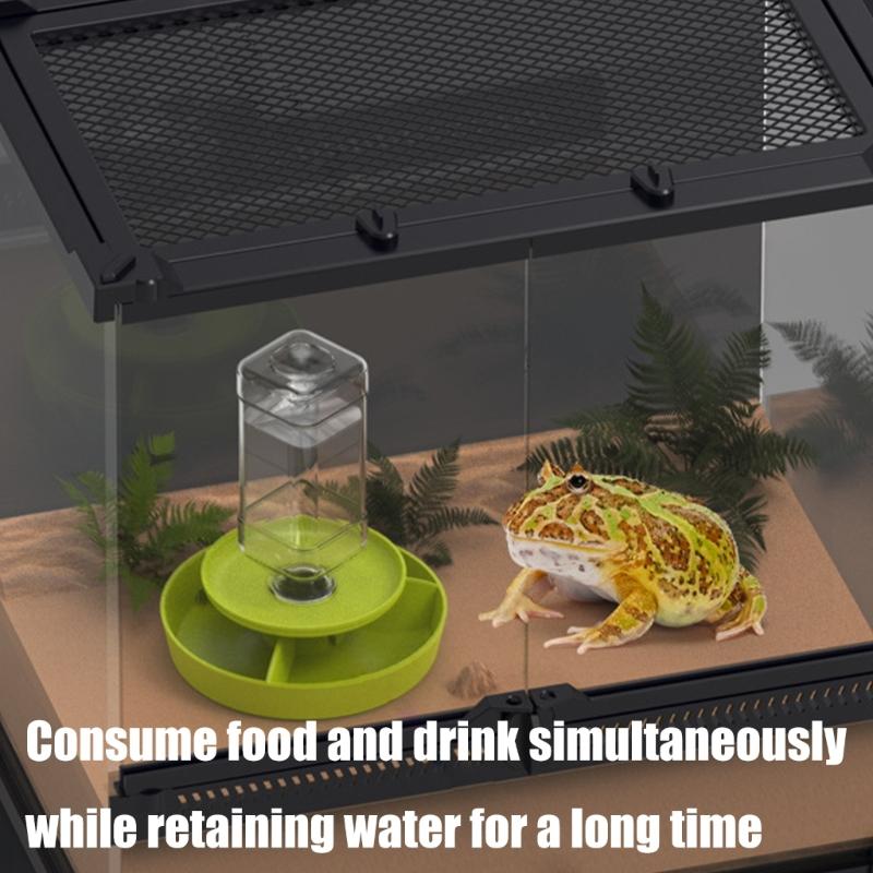 Multi Tiered Automatic Reptiles Water Dispenser Multifunctional Design Transparent Tanks Quiet Pump for Small Turtles