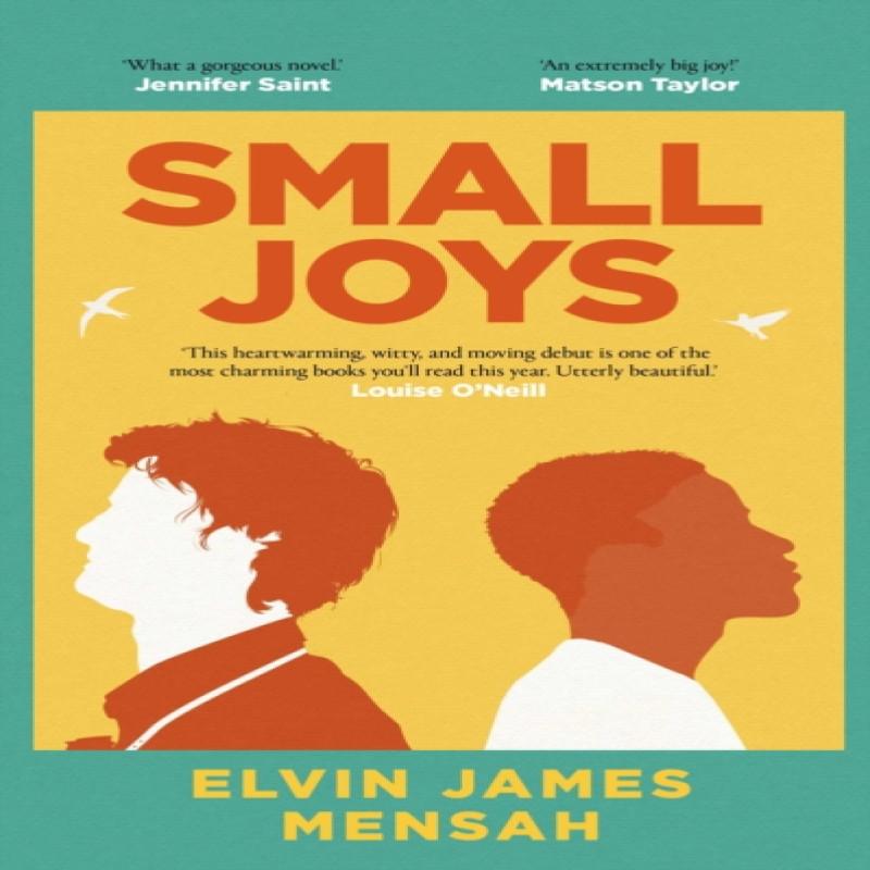 Small Joys by Elvin James Mensah Hardback Book 9781398514881