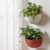 2PCS Imitation Rattan Wall Hanging Plant Pot Half Round Wall Mounted Semicircular Flower Pot for Indoor Outdoor Balcony Silver Gray S
