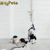 Timbre de Puerta Cuerda de Algodón Campana de Entrenamiento para Perros Alarma Colgante Cuerda Ajustable para Cachorros Campanas Tejidas Duraderas Timbre de Puerta para Mascotas para Entrenamiento para ir al Baño