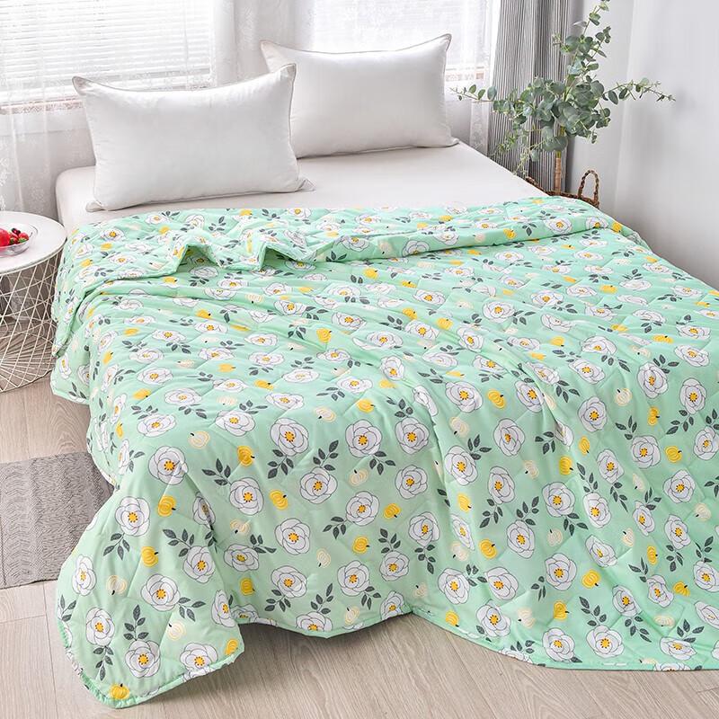 Royal Sleep Refreshing Summer Quilt