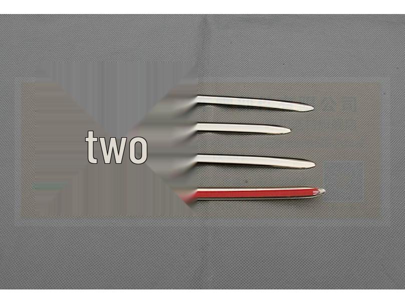 Otai Decorative Trim for BMW 5 Series F18 520/525 Door Handle