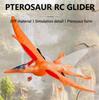 2.4G Rc Dinosaur Pterosaur Plane Foam 2Ch Drop-Resistant Epp Fixed Wing Remote Control Multi-Axis Gyroscope Aircraft Kids Toys