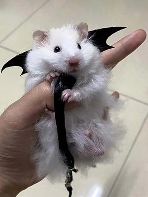 1pc Small Animal Hamster Traction Rope Strap, Hamster Flower Branch Rat Going Out Leash Hamster Clothes