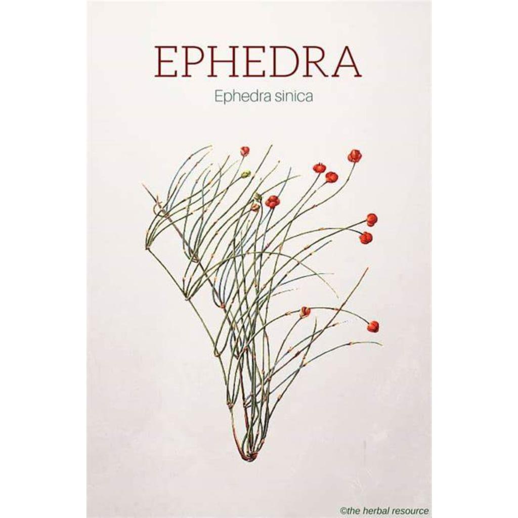 Somlata 1kg | Soma | Ephedra Gerardiana | Khanta