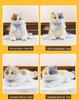 Three-Color Cat Plush Doll: Meows When Pressed, Creative Backpack Accessory for Women