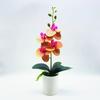 Artificial Plastic Phalaenopsis Flower Bonsai For Event Decoration Home Styling