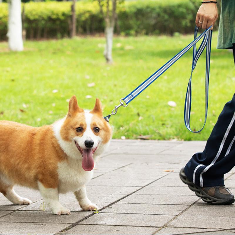 Rainbow Walking Dog Rope Large Medium And Small Traction Rope Snap On Pet Collar Nylon Strap Woven Dog Pet Accessories