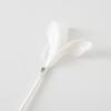 Cat Feather Wand Toy Interactive Cat Teaser with Feathers Bells Cat Teaser Wand
