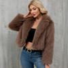 New Autumn and Winter Women's Plush Short Jacket Imitation Fur Jacket Suit Collar Jacket Outside