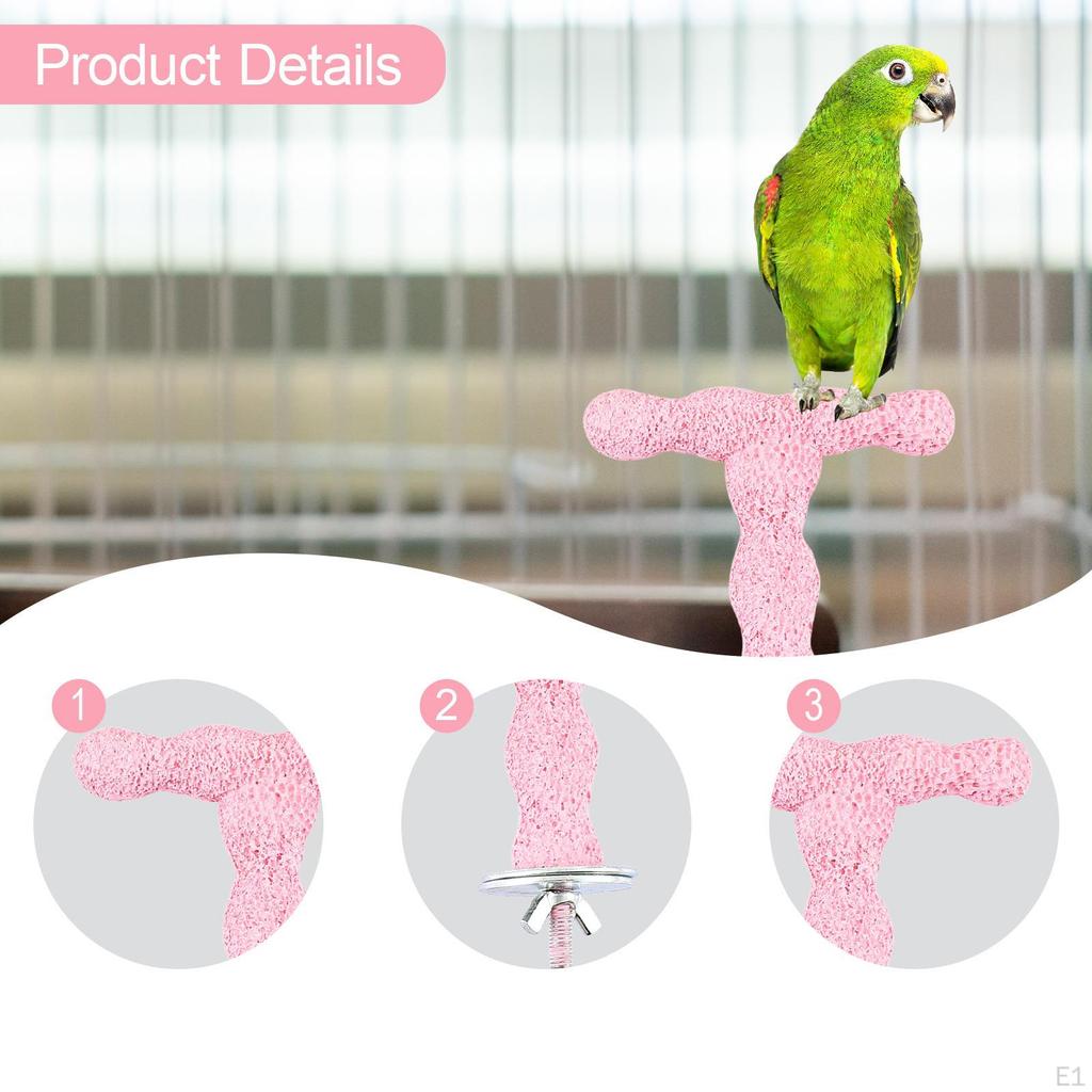 Vogel Sitzständer Käfig Stehend Papagei Pfote Kanarienvögel Papageien Kleine Vögel Wellensittiche