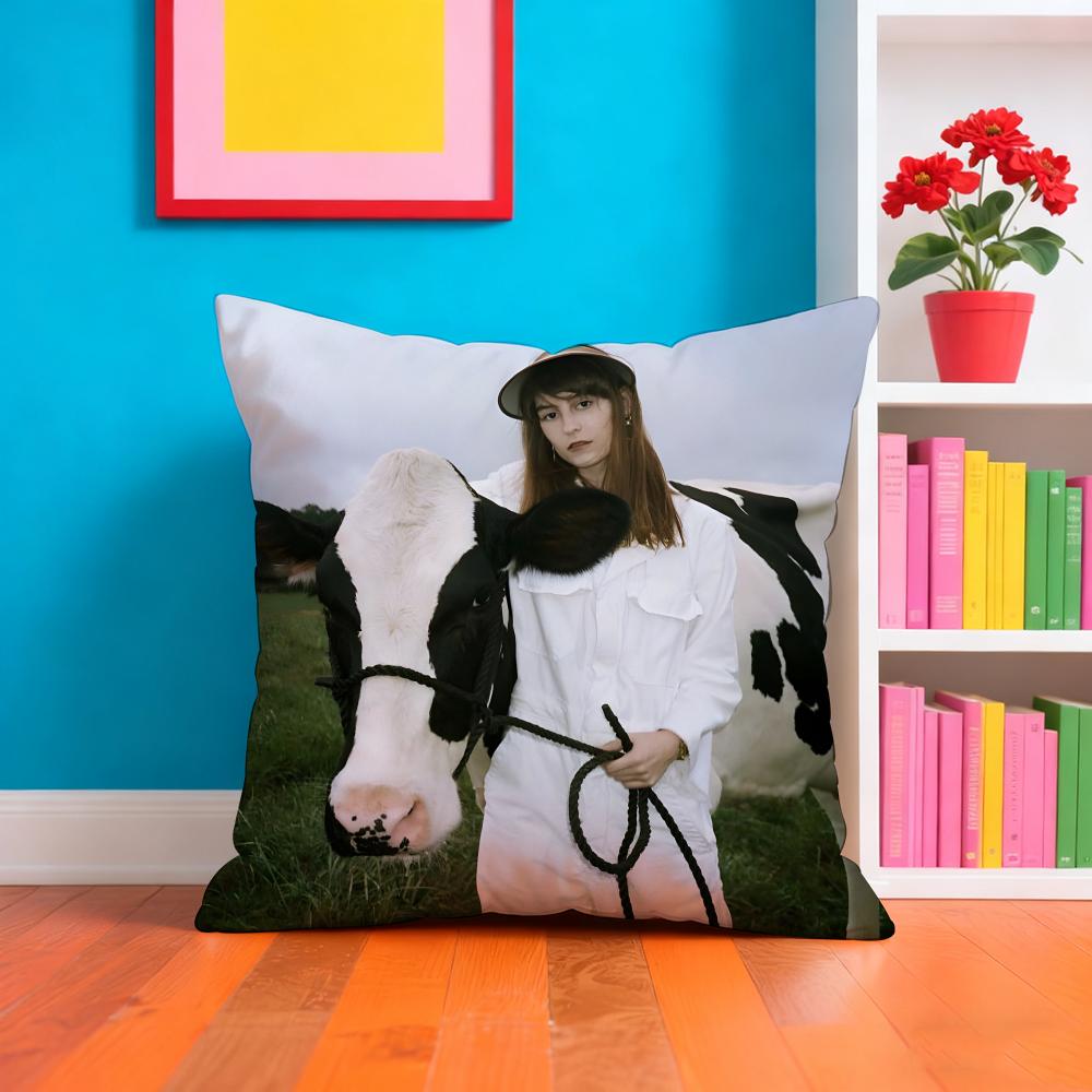 Faye WWebster Singer Pillow Case Pillow Case Plush Fabric Soft Double Sided Print Home Sofa High Quality Cushion