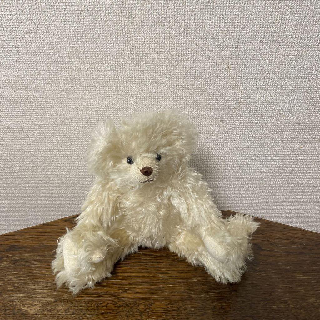 [USED] Teddy Bear