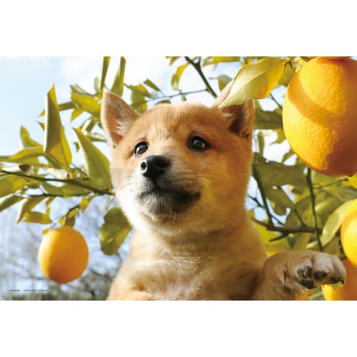 

Yanoman 108 Piece Jigsaw Puzzle Kun-kun! Good Smell Large Piece (26x38cm)