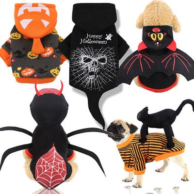 Roupa e sapatos – Conjuntos para cães