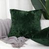 Soft Square Velvet Decorative Throw Pillow Covers Cushion Cover Pillow Case for Sofa Couch Bed Chair,Throw Pillows 18x18 Inch,Set of 2