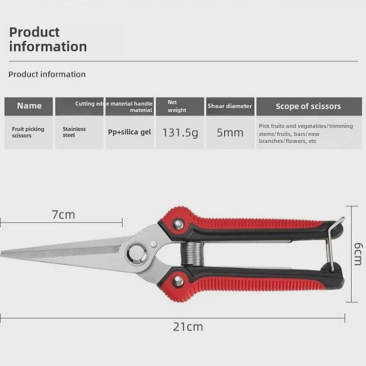 Stainless Steel Pointed Pruning Scissors for Fruit, Branches, and Vegetables