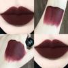 Cheap Unicorn Fashion Brown Matte Lip Gloss