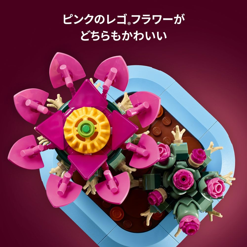 LEGO Botanical Flowering Cactus Toy - Birthday Present, Building Blocks, Mother's Day Gift for Girls, Boys, Children Ages 9, 10, 11, Elementary School