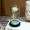 Valentine's Day Immortal Flower Glass Cover Colorful Rose Led Light Desktop Ornament, Birthday Gift Spot