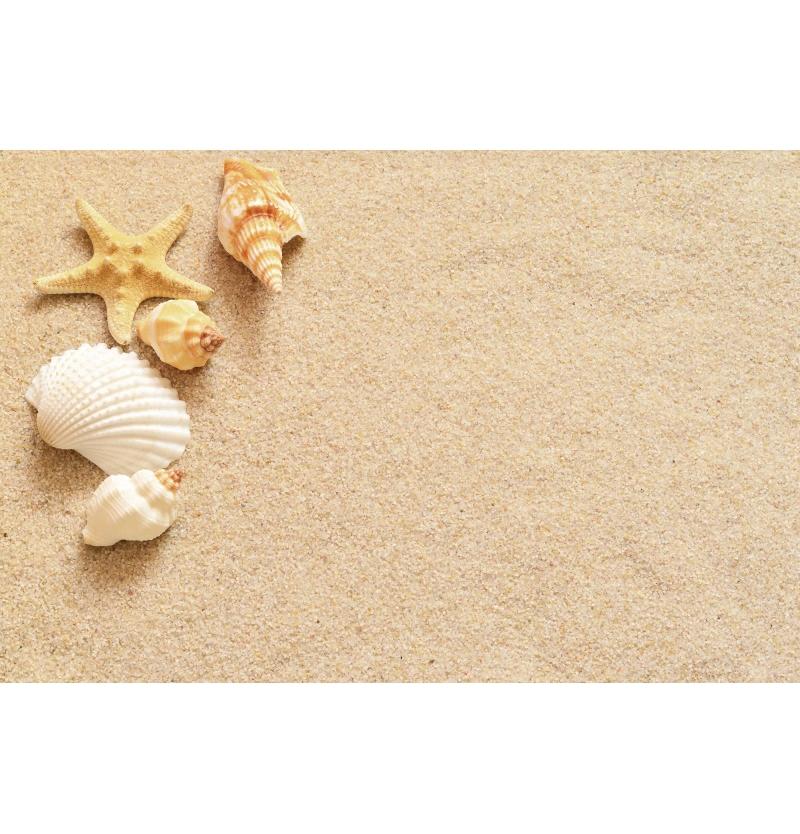 Decorazione Sfondo Spiaggia Tropicale Conchiglia Stella Marina Vacanza Estiva Per Festa in Piscina Sfondi Per Fotografie