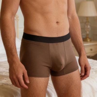 Uomo Boxer Intimo Vita Elastica Vita Media Vestibilità Slim Boxer Slip Tessuto Morbido Traspirante U-Convex Ghiaccio Seta Slip