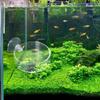  Shrimp Feeding Dish with Sucker Glass Bowls Round Tray Aquarium Fish Feeder