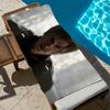 R-ResidentS E-EvilS Leon Kennedy KPK Towel Beach Bath Quick-Drying Lightweight Portable Sauna Camping Swim Pool Travel