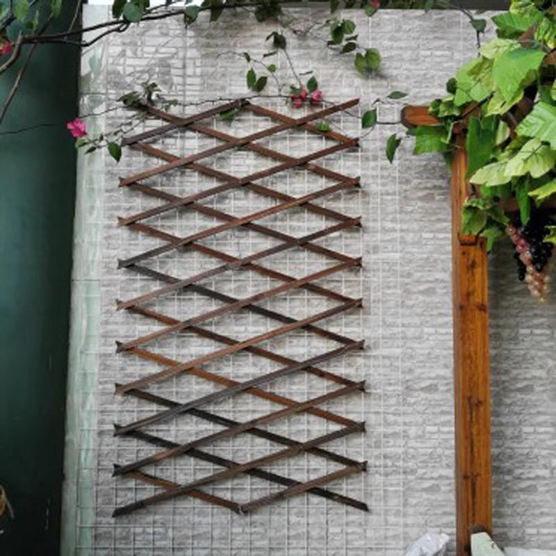 Expandable Garden Trellis with Preservative Wood for Climbing Plants