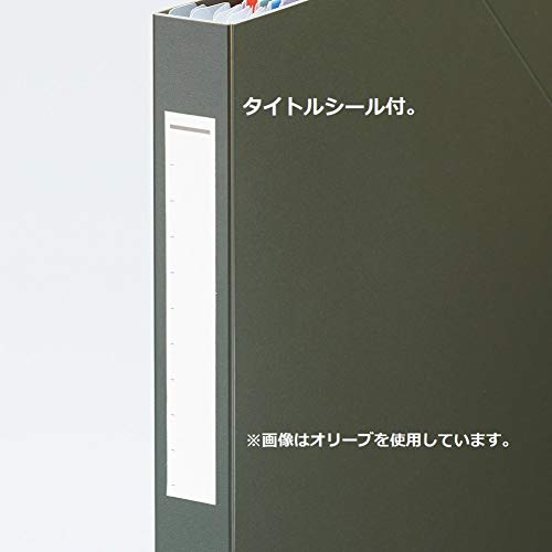 Lihit Lab F7771-24 Document File Stand File A4 Black