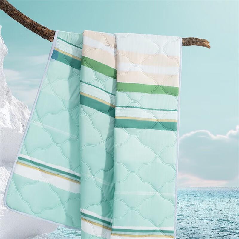 

Mercury Home Textiles Summer Cool Quilt