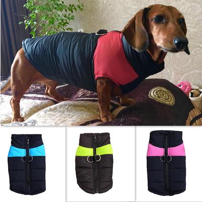 Giacca invernale calda per cani da compagnia, gilet impermeabile, addensare, abbigliamento per cuccioli, tute da sci taglie forti