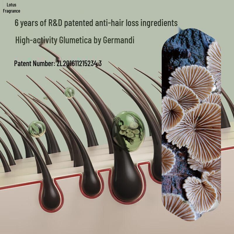 Hexin Anti-Hair Loss & Hair Growth Shampoo