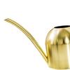 Watering Can for Indoor Plants Orchid Bonsai Stainless Steel Small Watering Can