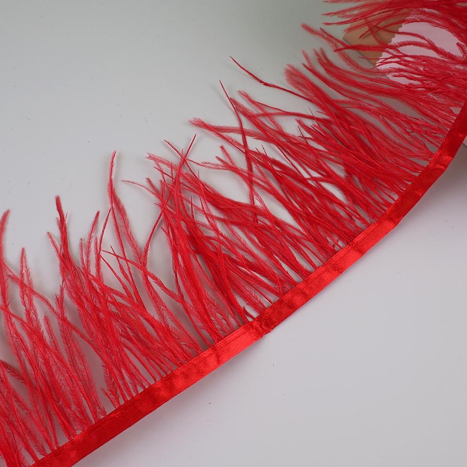10Meters Ostrich Feathers Fringe Trim For Needlework And Handicrafts Feather Dress Accessories Plumes Fringes For Clothes
