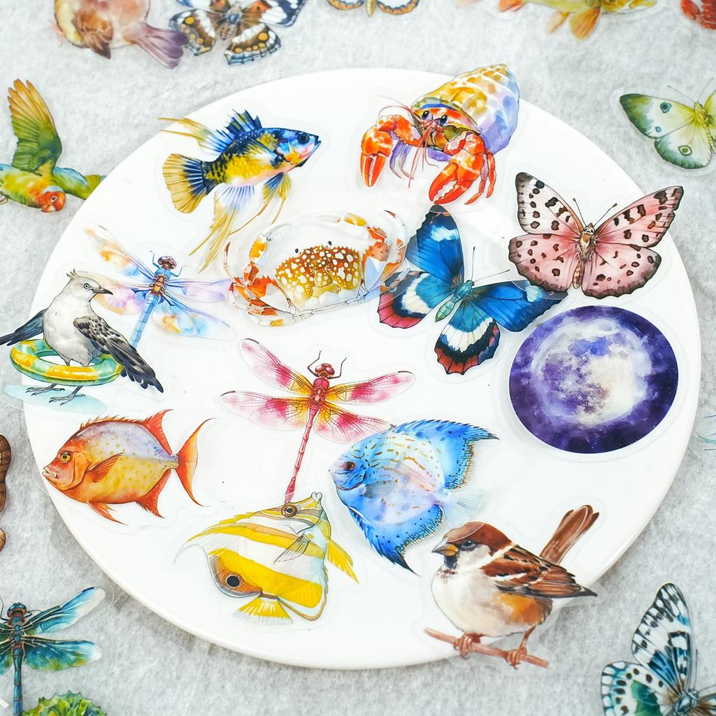 50 Sheets Underwater Animal Theme PET Sticker DIY Handbook Scrapbooking Journal Glass Bottle Photo Frame Decorative Stickers