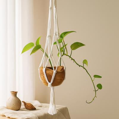 Pots de fleurs, bacs et jardinières – Pots de fleurs à suspendre