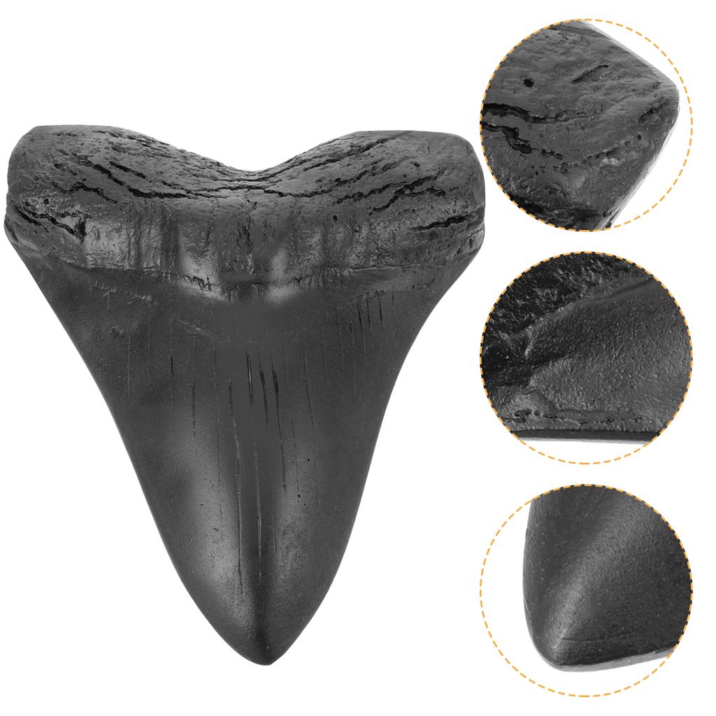 Heimdeko Gefälschter Megalodon-Zahn Knochen-Exemplar Haie Modellspielzeug Ausstellungsdekoration Westlicher Drache