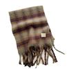Versatile Korean Style New Tassel Scarf for Women in Autumn and Winter Thickened and Warm Imitation Cashmere New Rainbow Plaid Scarf Trendy