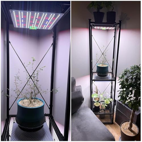 Niwuno LED Grow Light Panel with UVa+IR for Houseplants, Agave, Tuberous Roots, Aquariums, Succulents, Platycerium Ferns, and Aquariums (Aurora Q-Pad,