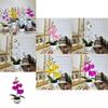New Four Flower Small Round Orchid Desk Plant With Artificial Flowers For Home Decor And Office Use
