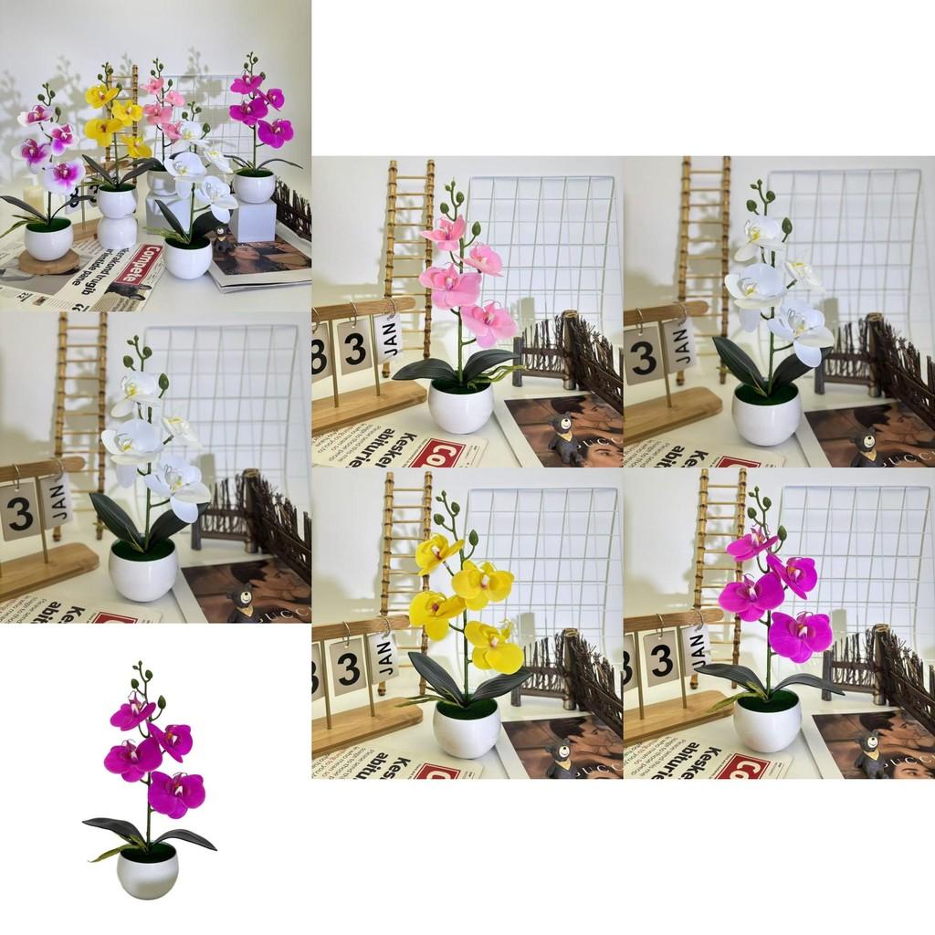 New Four Flower Small Round Orchid Desk Plant With Artificial Flowers For Home Decor And Office Use