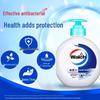 Walch Hand Wash Duo Pack