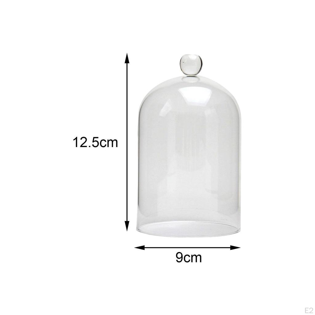 Vetrina in Vetro Decorazione per la Casa Fai da Te Cupola Cloche per Festa Ufficio Tavolo