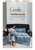 Embroidered Ice Silk Summer Quilt Set: 4-Piece, Machine Washable, Thin & Cool