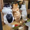 Simulation Big Cat Cute Kitten Cats Children Birthday Gifts Creative Imitation Cat Ornaments Home Decoration Accessories