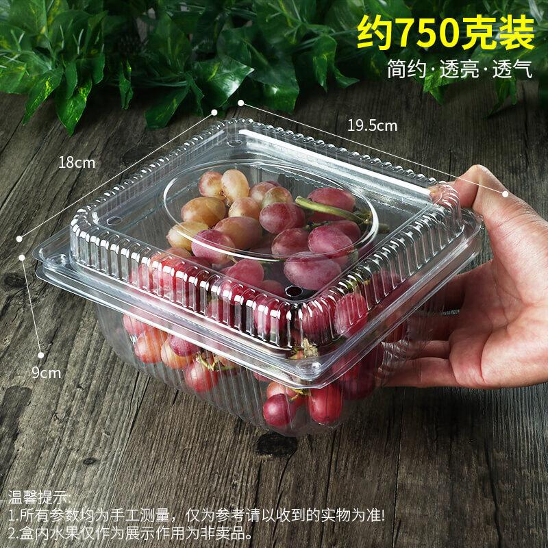 Disposable Plastic Fruit and Vegetable Container