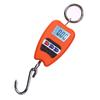 Portable 200kg Electronic Hanging Scale - Handheld Hook for Industrial and Grain Weighing