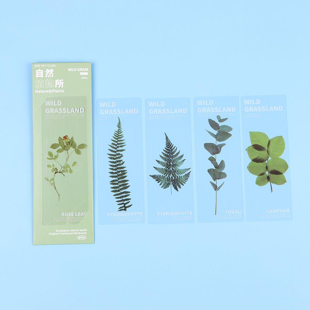 Leaf Vein Reading Mark Specimen Bookmarks Nature Plants Bookmarks Translucent Flower Bookmarks Card